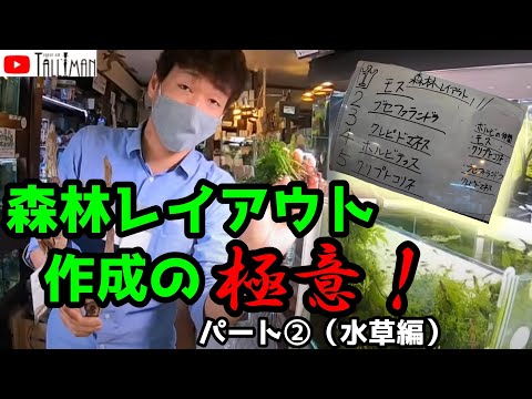 池の水草ベスト５！  庭園