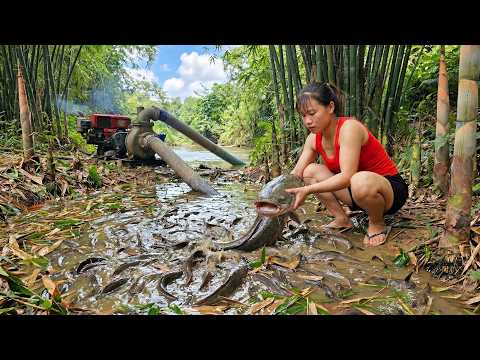 Harvesting 500kg of Fish Deep in the Forest and Transporting Them to the Market
