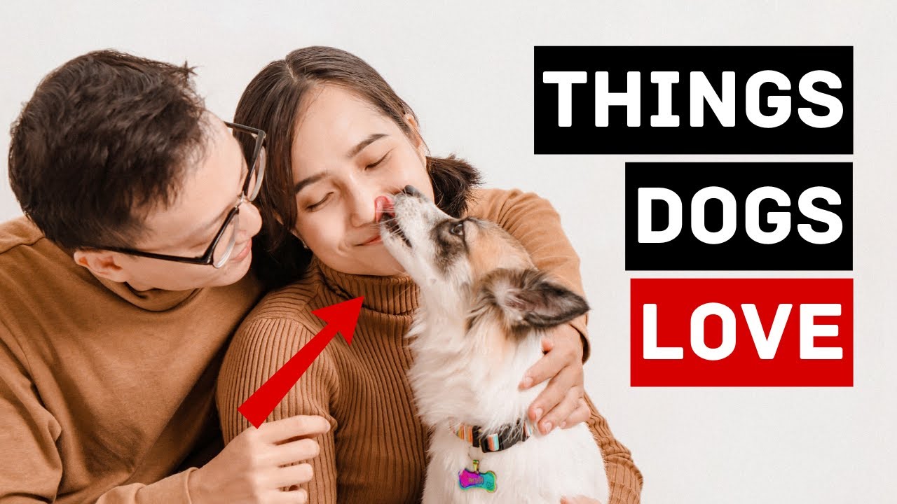The Top 15 Things Dogs Love – Backed by Science! 🐾