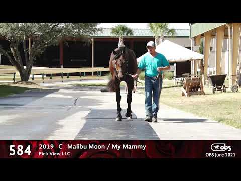 2019 COLT: Malibu Moon / My Mammy, by Came Home