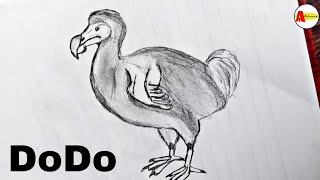 How to Draw the Extinct Animal Dodo Bird