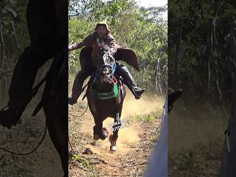 IMAGEM ESPETACULAR #pegadeboinomato #romariofeitosa