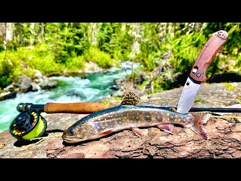 REMOTE Mountain TROUT FISHING!!! 4-Day Catch, Cook, Camp