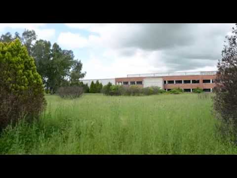 MAURO CARTURAN & C. CISTERNA DI LATINA