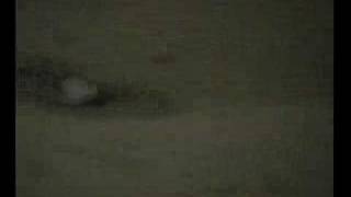 KREIDLER - Sans Soleil