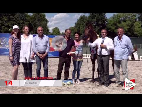 Highlights FVG 2015