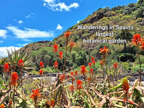Passeios pelo maior jardim botânico de Espanha: Jardín Botánico Viera y Clavijo