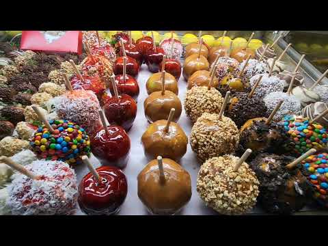 Boston Trip漫遊波士頓 2024 Massachusetts #boston #波士頓