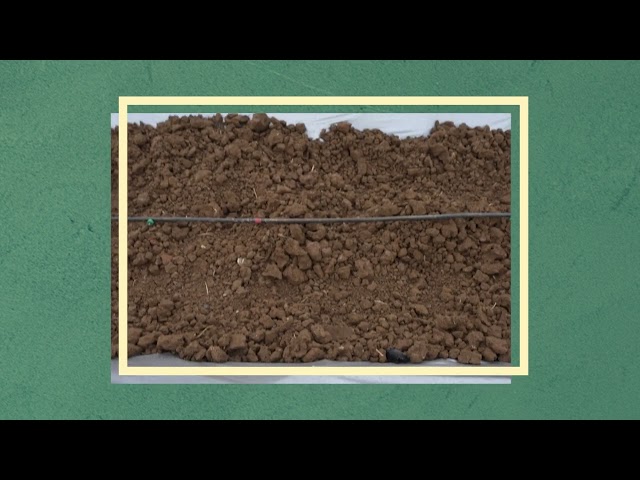 thumbnail of the course