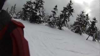 preview picture of video 'Bretton Woods Boundary Line Glades'