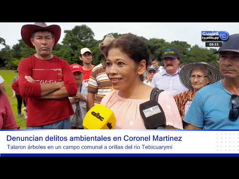 Denuncian tala indiscriminada de árboles en Coronel Martinez