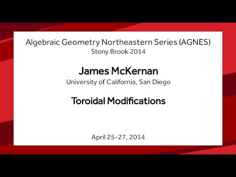 Toroidal Modifications - James McKernan