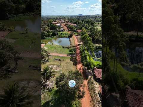 povoado união Governador Newton bello Maranhão #governadornewtonbello #povoado