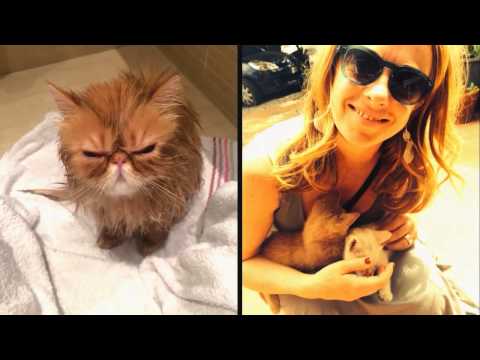 Micioni con Giorgia Meloni