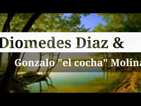 No se que tienes tu letra - Diomedes Diaz