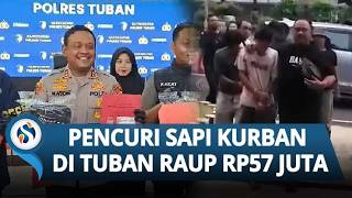 Ditangkap! Komplotan Pencuri Sapi Tuban Raup Rp57 Juta, Sisa Uang Buat Pesta & Beli Miras