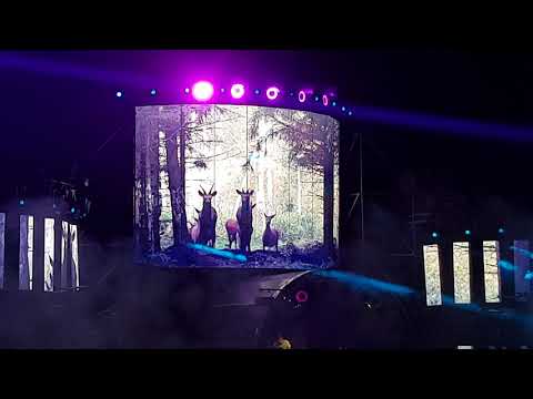 Neelix @ Euforia Festival 2018 Szalone Łanie :)