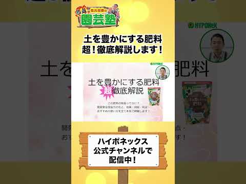 園芸 タンポポの肥料
