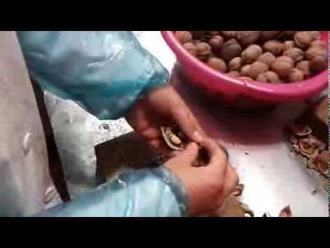 Nuci de la Ciocani pentru miniPRIX