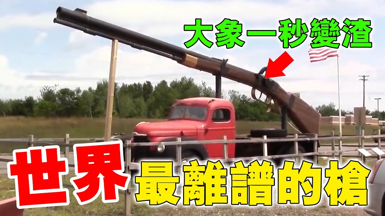 世界上最不尋常的20種槍，巴雷特就是弟弟，第一名可以把大象轰成渣#科普 #世界之最 #阿菌看世界 #军事 #离谱