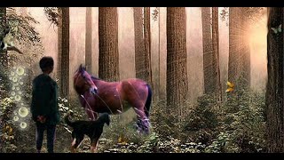 What is Telepathic Communication with Animals and How Can You Regain the Ability?