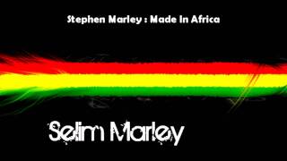 Stephen Marley - Made in Africa + Lyrics
