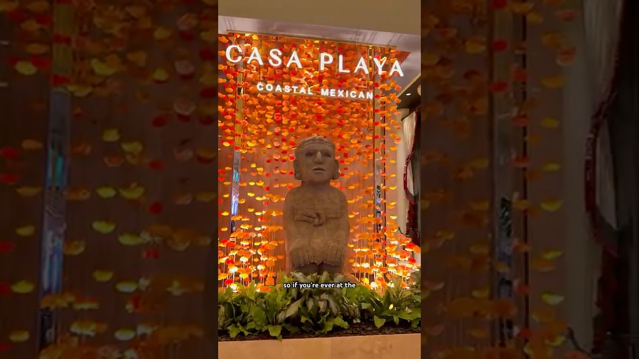 Casa Playa - Video