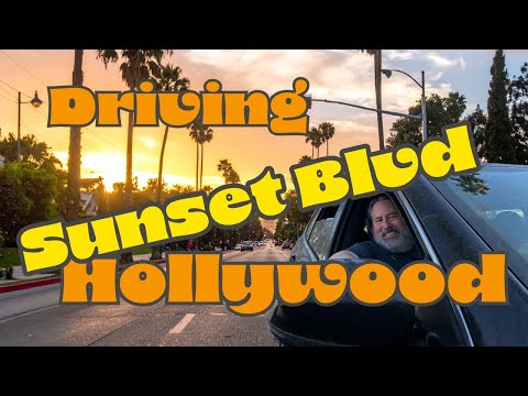 Driving Sunset Blvd