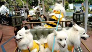 It doesn't get much better than this, folks.