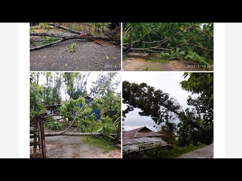 Strong Wind effect 19 May 2022