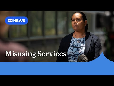 NT Opposition Leader Selena Uibo uses VIP chauffeur service for private travel | ABC News