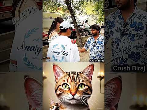 Real Aura boy 🤣#funny #cat #meme #dance #shorts