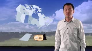 Weather Forecast - Motion Graphics