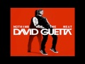 David Guetta I Just Wanna Fuck (feat Timbaland ...