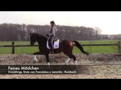 Franziskus x Lenardo Stute