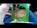 New Russian Dwarf Hamster - Adoption Only 12 ...