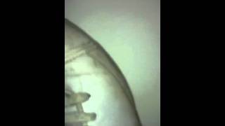 Sorry Charlie .. Today.. Just ain&#39;t your day ...