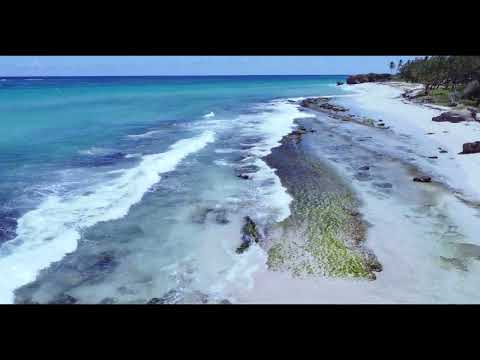 Videos del Wyndham Grand Barbados Sam Lords Castle 5★ en Saint Phillip, BarbadosVer MásVerPrecios12CerrarConsulta por Whatsapp 🇦🇷BookingTripadvisorExpediaPricelineTripSkyscannerDespegarHotelesDestiniaTrivagoLastminuteHotwire