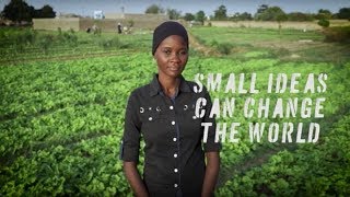 Young Nigerien water expert wins top UN Environmental prize