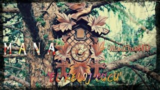 Maná | &quot;El reloj Cucú&quot; | Cuando los ángeles lloran | HD