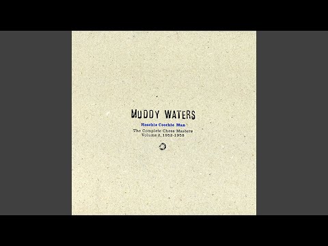 I Want To Be Loved - Muddy Waters