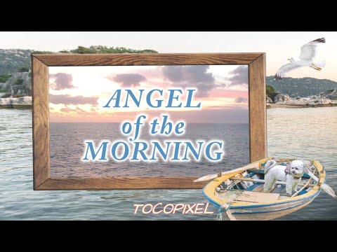 Angel of the Morning