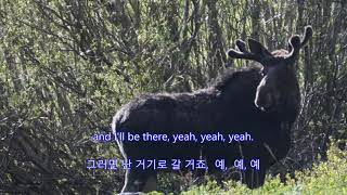 You&#39;ve Got a Friend - Anne Murray || with lyrics (영어가사/한글번역)