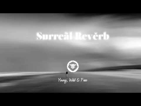 Downtown Party Network ft. Egl- Sirvydyt - Space Me Out