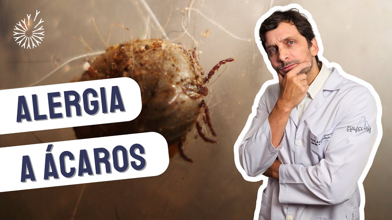 Andre Aguiar Gauderer-28