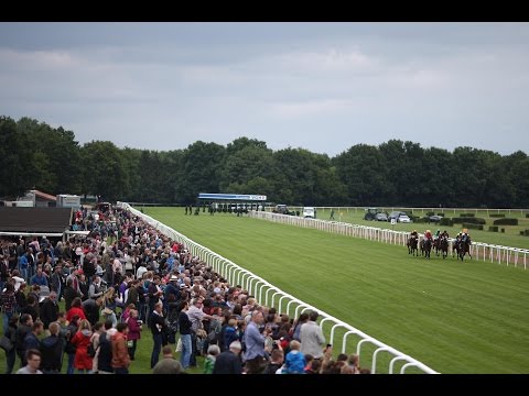 Hannover: GKN Geburtstagsrennen (D) - Siegerin: The Dancing Fairy