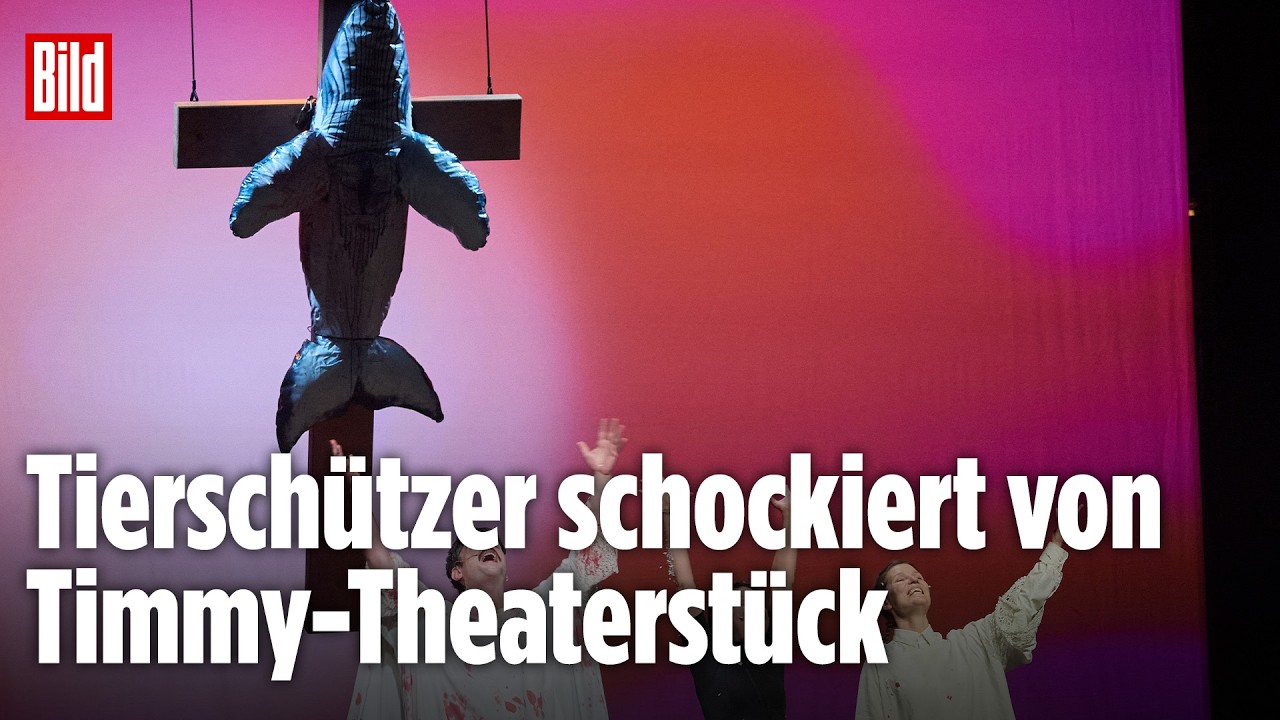 Theater um gestrandeten Buckelwal: BILD-Reporter bei „Timmy – Die Hope stirbt zuletzt“ in Hamburg