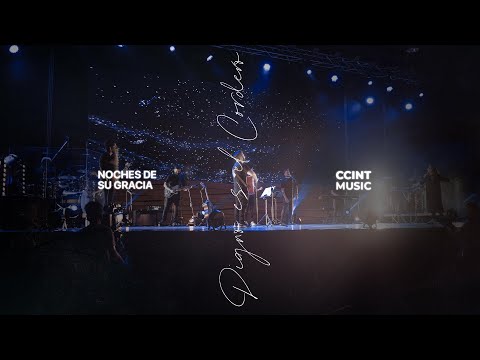 Digno es el Cordero (Digno é o Cordeiro) | Noches de Su Gracia (En Vivo)