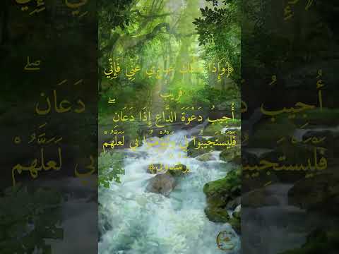 Allah is Near 💖 | He Answers Every Prayer #quran #allahisnear #quraninenglish