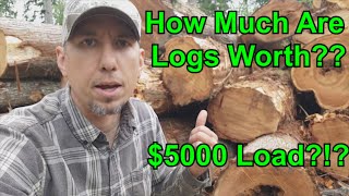 How Much Are My Logs Worth??